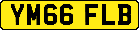 YM66FLB