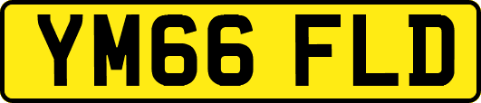 YM66FLD