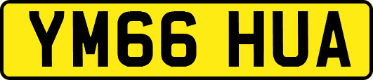 YM66HUA