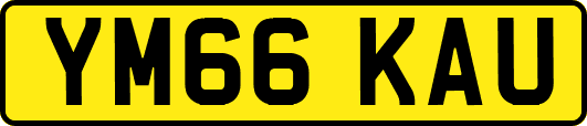 YM66KAU