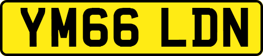 YM66LDN