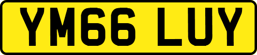 YM66LUY