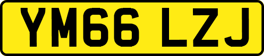 YM66LZJ