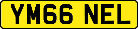 YM66NEL
