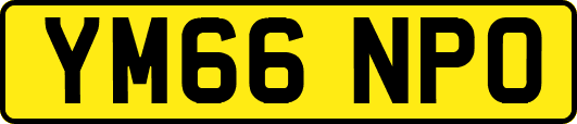 YM66NPO