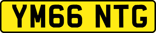 YM66NTG