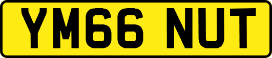 YM66NUT
