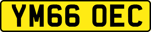 YM66OEC
