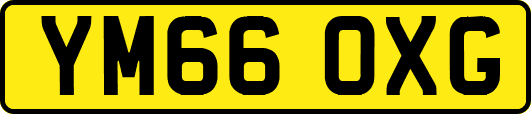 YM66OXG