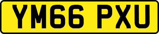 YM66PXU