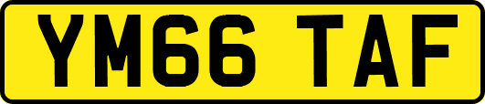 YM66TAF