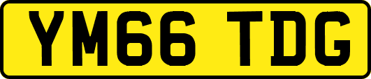 YM66TDG