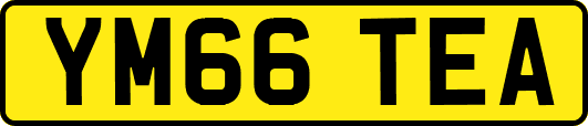 YM66TEA