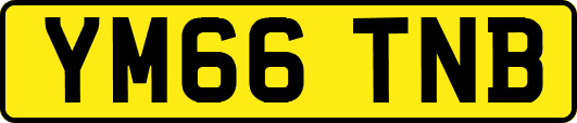 YM66TNB