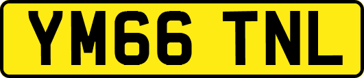 YM66TNL