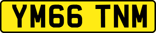 YM66TNM