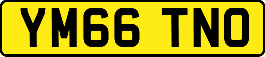 YM66TNO