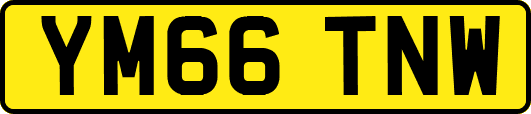 YM66TNW