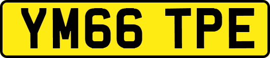 YM66TPE