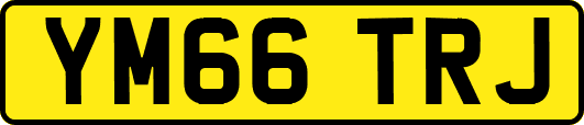 YM66TRJ