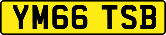 YM66TSB