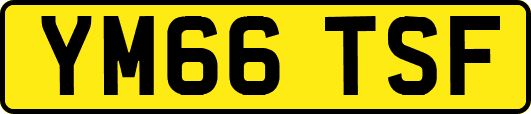 YM66TSF