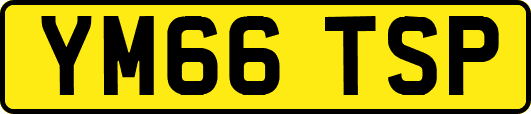 YM66TSP