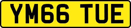 YM66TUE