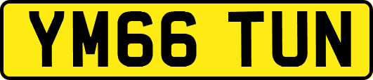 YM66TUN