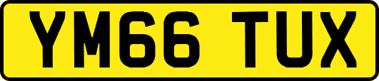 YM66TUX