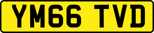 YM66TVD