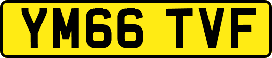 YM66TVF