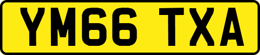 YM66TXA