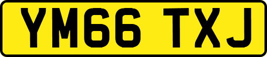 YM66TXJ