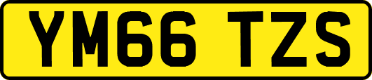 YM66TZS