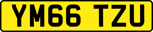 YM66TZU