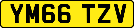 YM66TZV