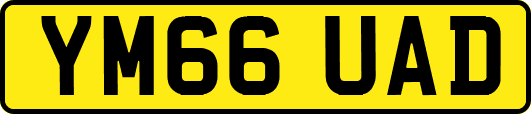 YM66UAD