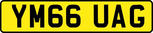 YM66UAG