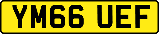 YM66UEF