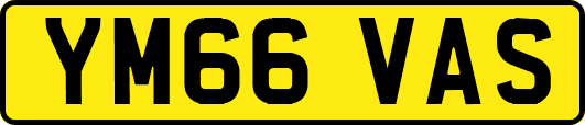 YM66VAS