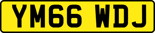 YM66WDJ