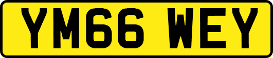 YM66WEY
