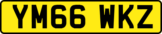 YM66WKZ