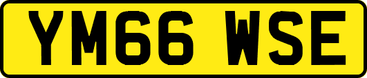 YM66WSE