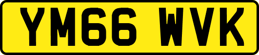 YM66WVK