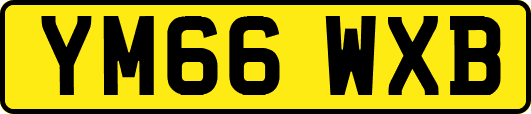 YM66WXB