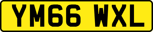 YM66WXL