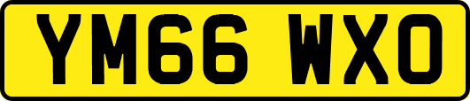 YM66WXO