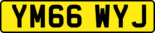 YM66WYJ